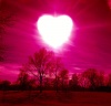 Love2